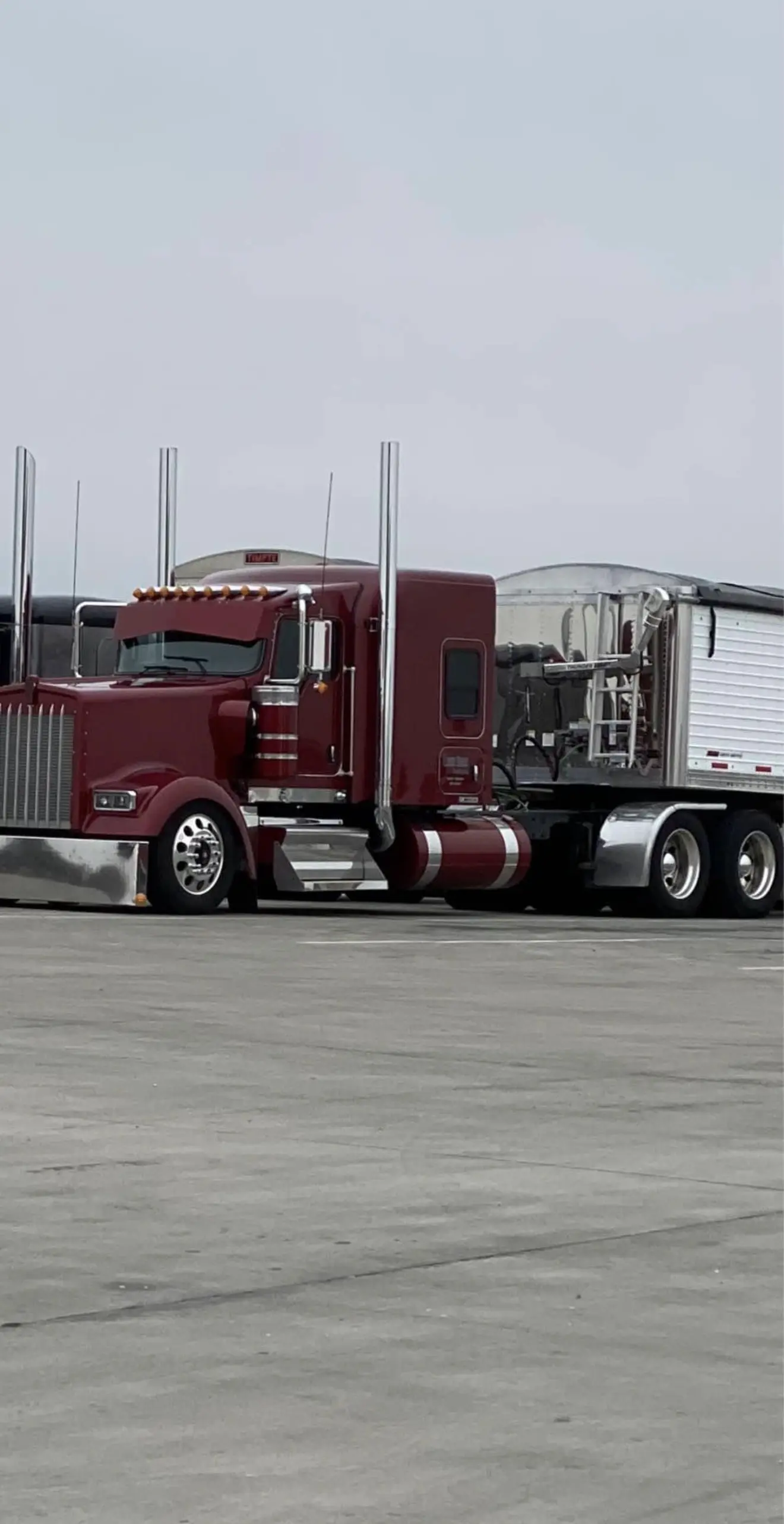 6” Dynaflex Stacks/pipes For Kenworth