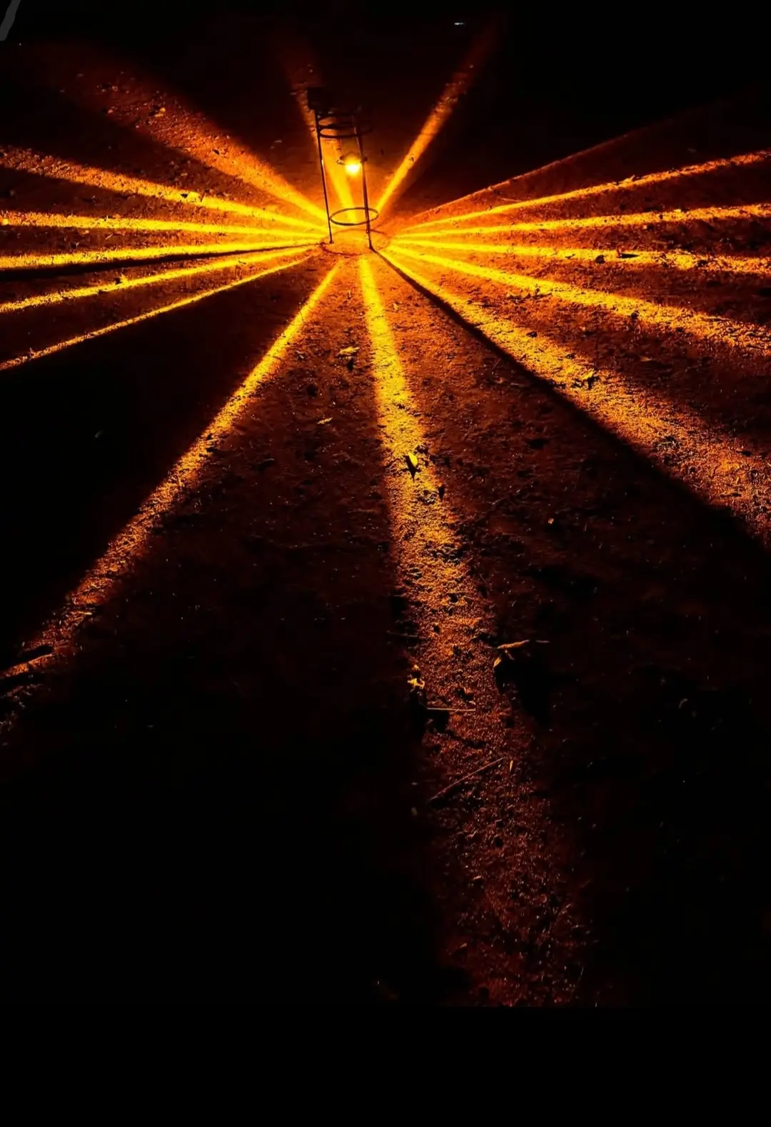 Super brite glass watermelon H11 amber